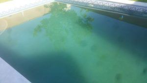 Agua verde y turbia de una piscina